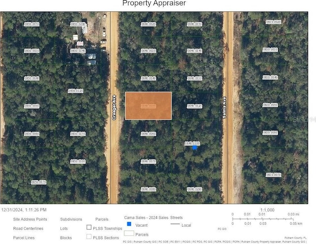 Creager Ave, Interlachen FL, 32148 land for sale