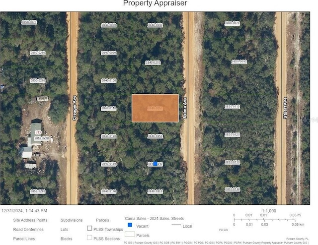 Selma Ave, Interlachen FL, 32148 land for sale