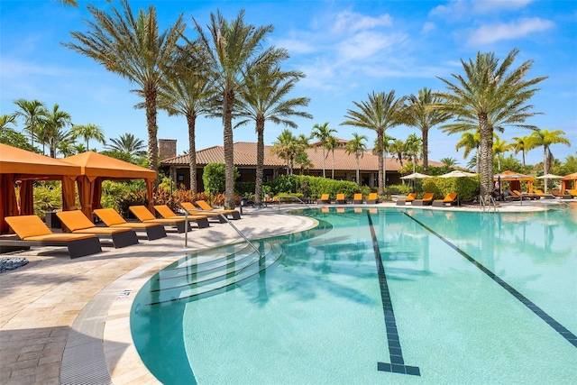 view of swimming pool featuring a patio area