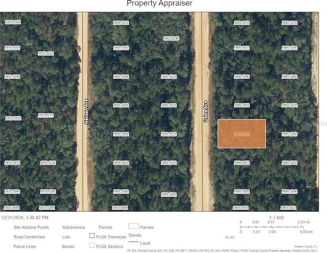 Usina Ave, Interlachen FL, 32148 land for sale