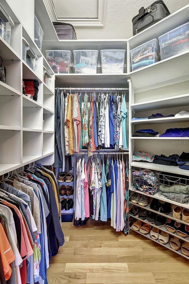 walk in closet featuring light hardwood / wood-style flooring