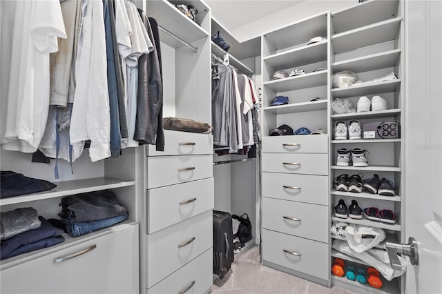 walk in closet with light carpet