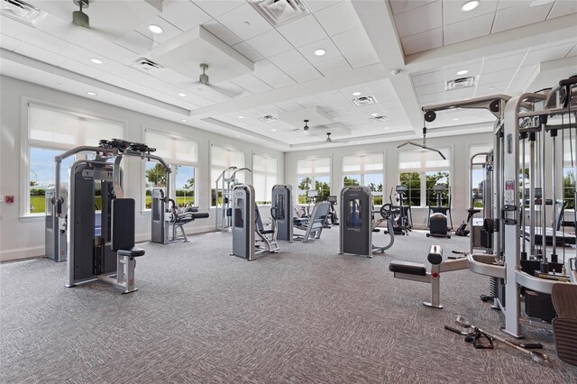 5107 Coral Reef Way, Bradenton, FL 34211 - exercise room featuring visible vents and a wealth of natural light