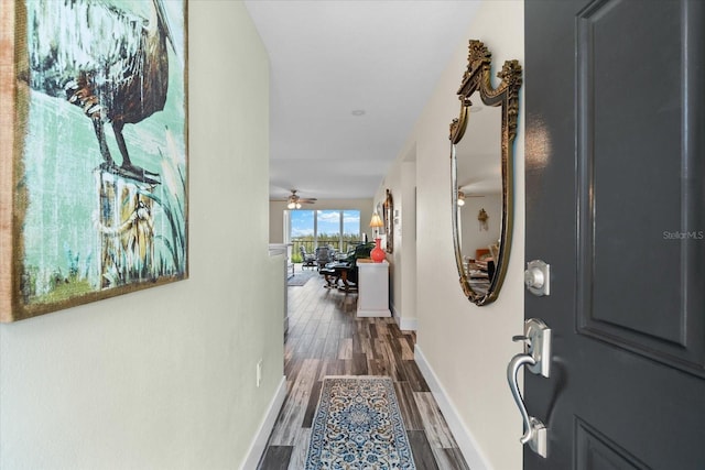 entryway featuring ceiling fan and dark wood-type flooring