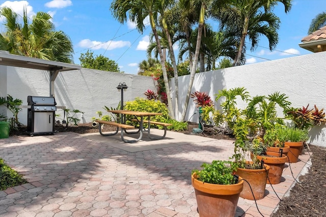 view of patio / terrace with a grill