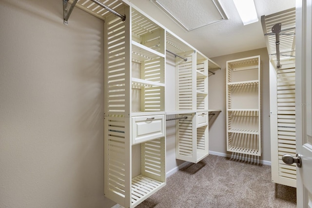 walk in closet featuring carpet floors