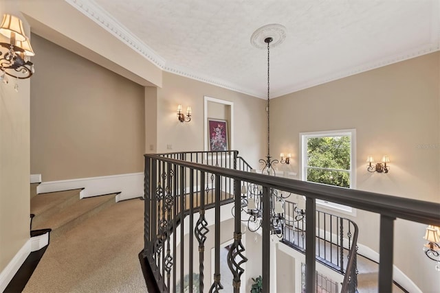 corridor featuring carpet flooring, crown molding, and a textured ceiling