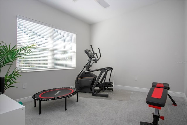 exercise room featuring light colored carpet