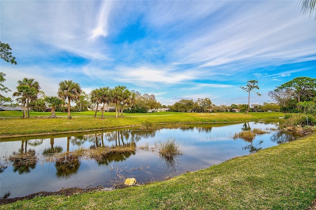 2123 Calusa Lakes Blvd, Nokomis, FL 34275 - water view