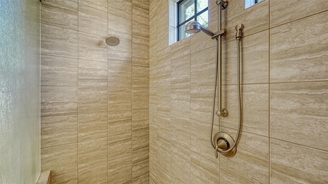 room details with tiled shower