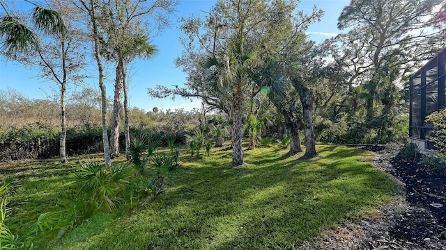 view of landscape