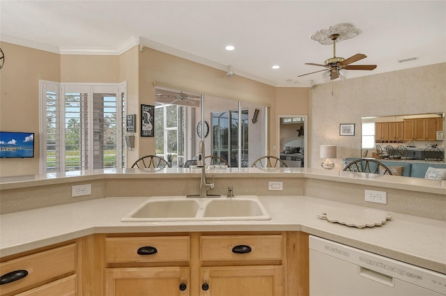 kitchen with light countertops, white dishwasher, a sink, and a wealth of natural light