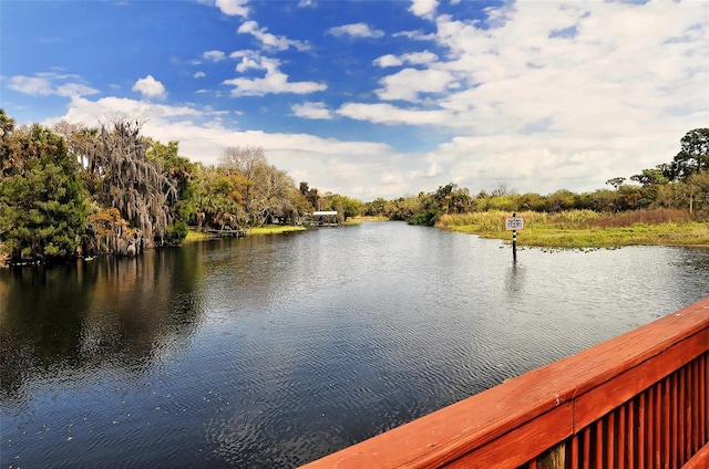 property view of water