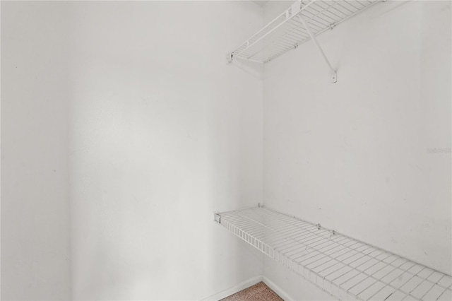 spacious closet featuring light colored carpet