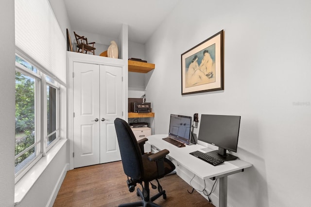 office featuring wood-type flooring