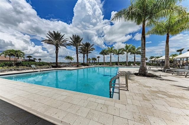 pool featuring a patio area