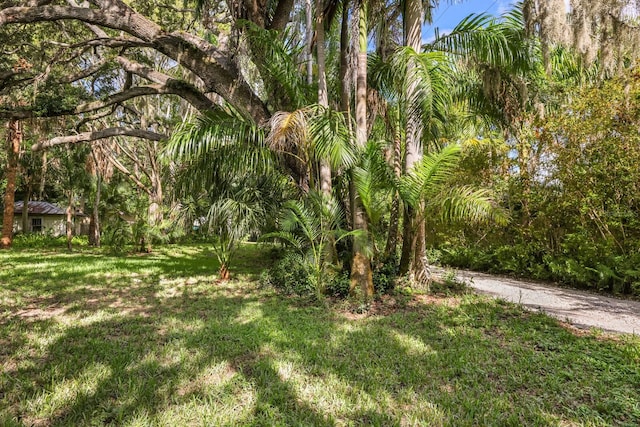 3301 Bay Shore Rd, Sarasota, FL 34234