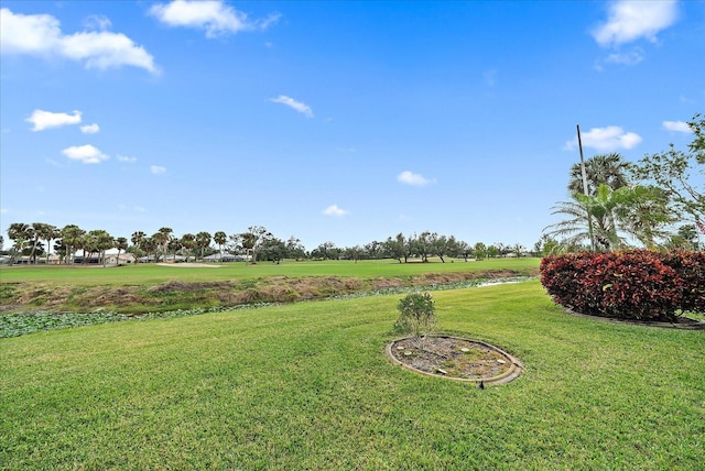 view of yard featuring a rural view