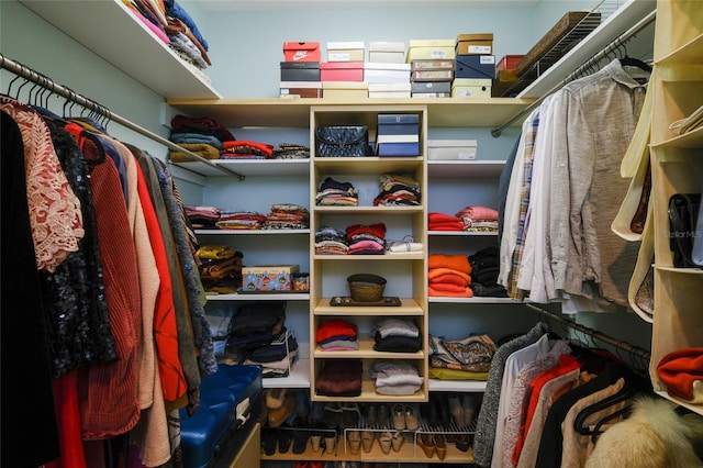 view of walk in closet