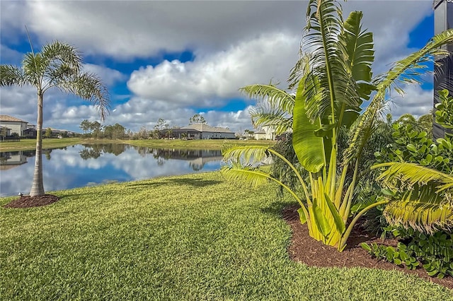 view of water feature