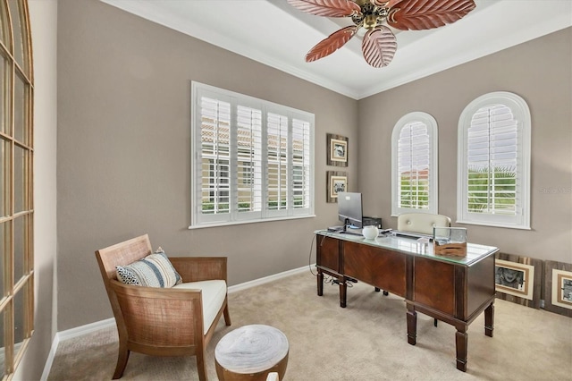 carpeted home office with ceiling fan and crown molding