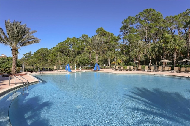 view of pool featuring a patio area