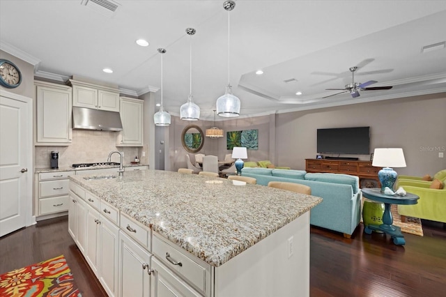 kitchen with ceiling fan, sink, hanging light fixtures, a tray ceiling, and a center island with sink