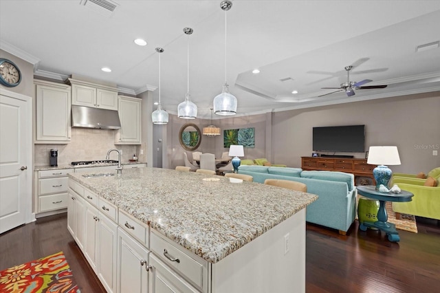 12606 Fontana Loop, Bradenton, FL 34211 - kitchen with under cabinet range hood, ornamental molding, ceiling fan, dark wood-style flooring, and light stone counters