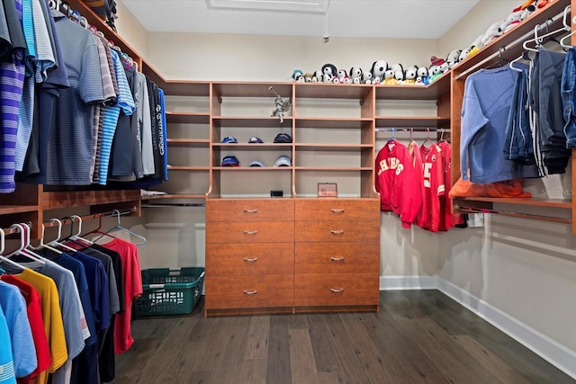 spacious closet with dark wood-type flooring