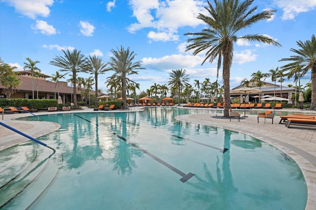 view of swimming pool with a patio