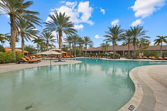 view of pool with a patio area