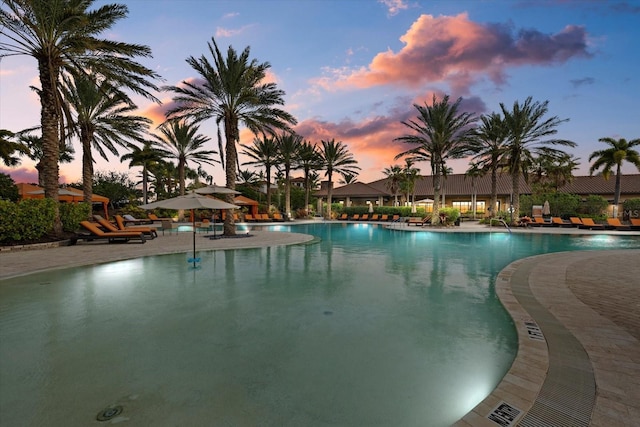 12606 Fontana Loop, Bradenton, FL 34211 - pool at dusk featuring a community pool and a patio area