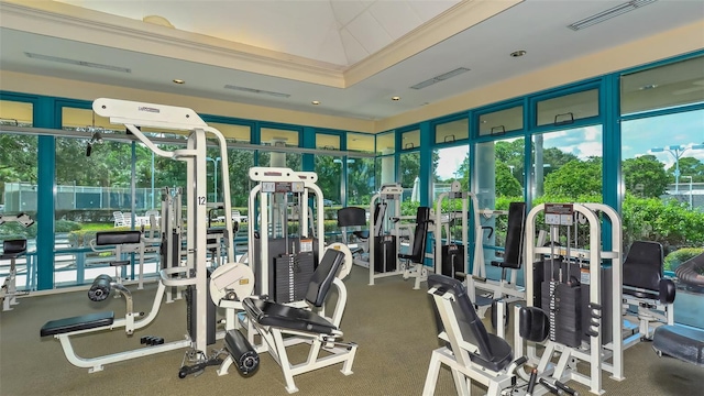 workout area with plenty of natural light and lofted ceiling