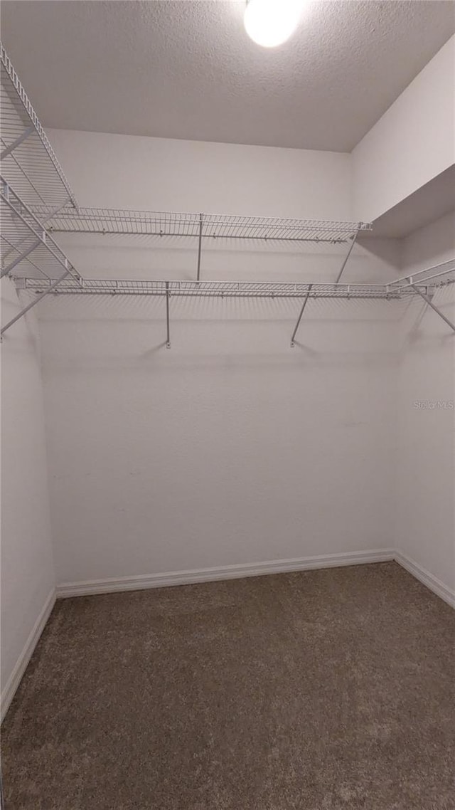 spacious closet featuring dark colored carpet