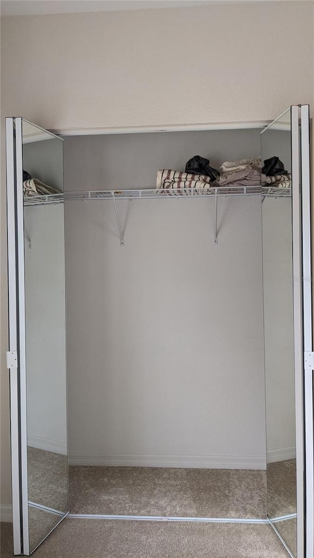 spacious closet with light colored carpet