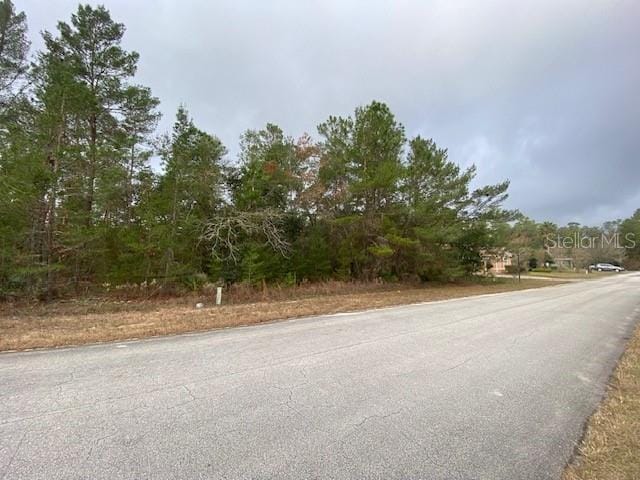 14 Statice Ct, Homosassa FL, 34446 land for sale