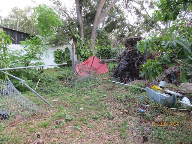 view of yard