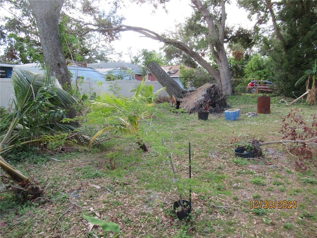 1814 6th Ave E, Bradenton, FL 34208 - view of yard