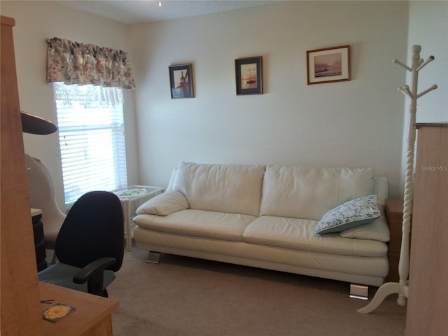 5115 44th St W, Bradenton, FL 34210 - view of carpeted office
