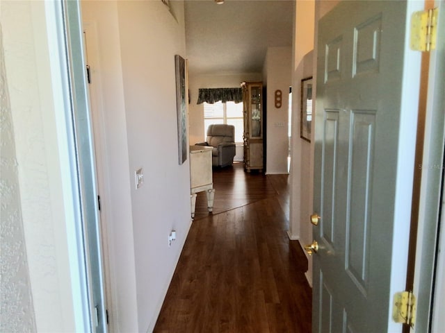 5115 44th St W, Bradenton, FL 34210 - hall with dark wood-style flooring
