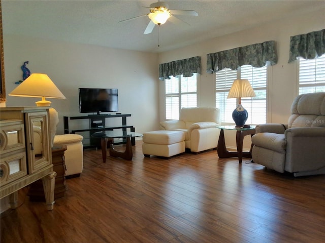 5115 44th St W, Bradenton, FL 34210 - living area featuring wood finished floors, ceiling fan, and a healthy amount of sunlight
