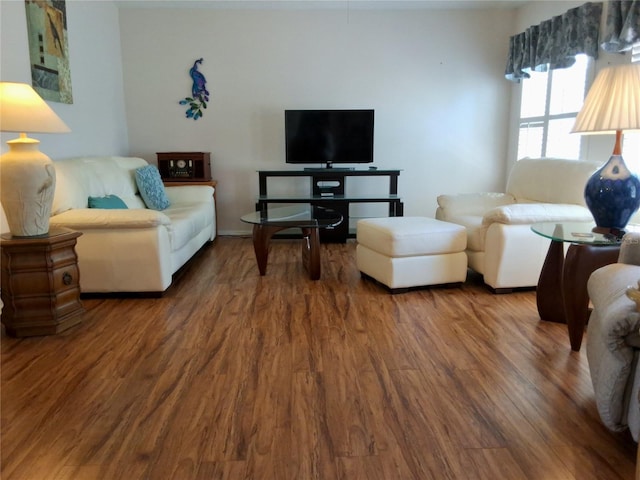 5115 44th St W, Bradenton, FL 34210 - living room featuring wood finished floors