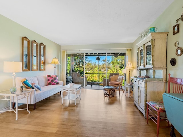 living room featuring light hardwood / wood-style flooring