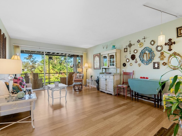 living room with light wood-type flooring