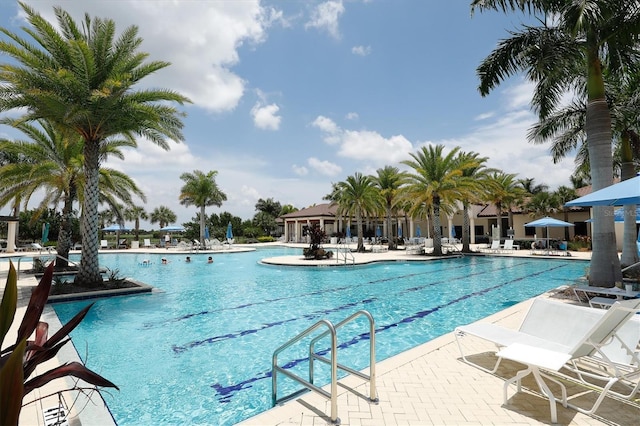 view of pool featuring a patio