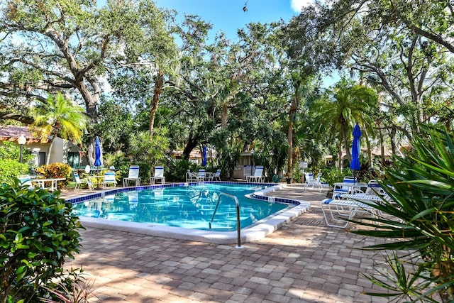 view of swimming pool with a patio