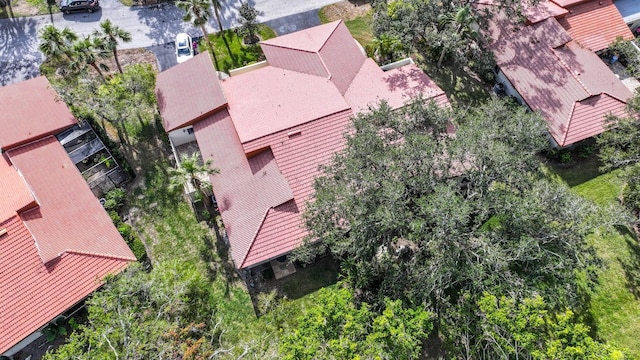 3404 Falcon Pl, Bradenton, FL 34210 - photo 40