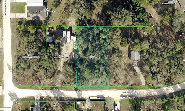 13197 Road Runner Ave, Weeki Wachee FL, 34614 land for sale