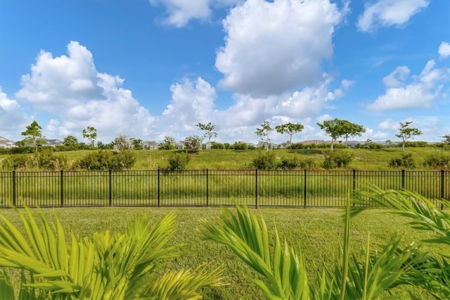 view of yard with a rural view