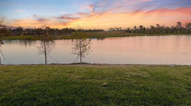 property view of water